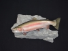 Rainbow Trout